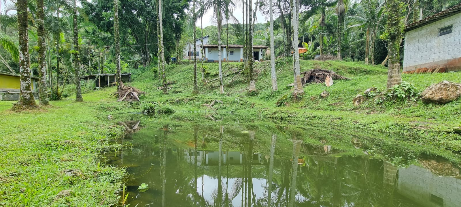 Chácara à venda com 2 quartos, 314600m² - Foto 10