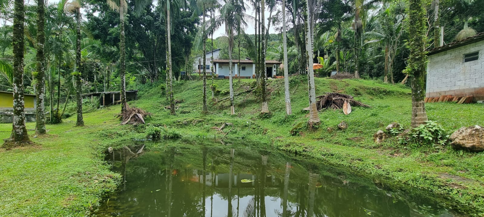 Chácara à venda com 2 quartos, 314600m² - Foto 6