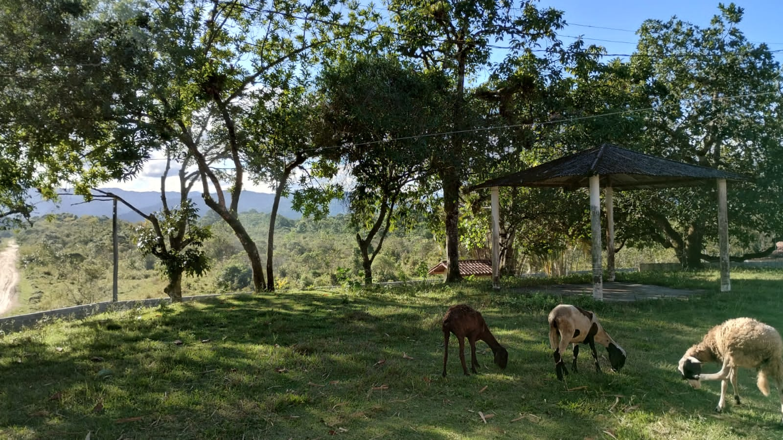 Chácara à venda com 3 quartos, 265m² - Foto 7