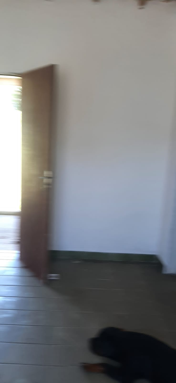 Chácara à venda com 3 quartos, 265m² - Foto 24