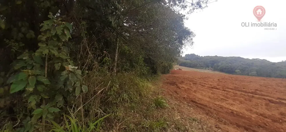 Terreno, 10 hectares - Foto 3
