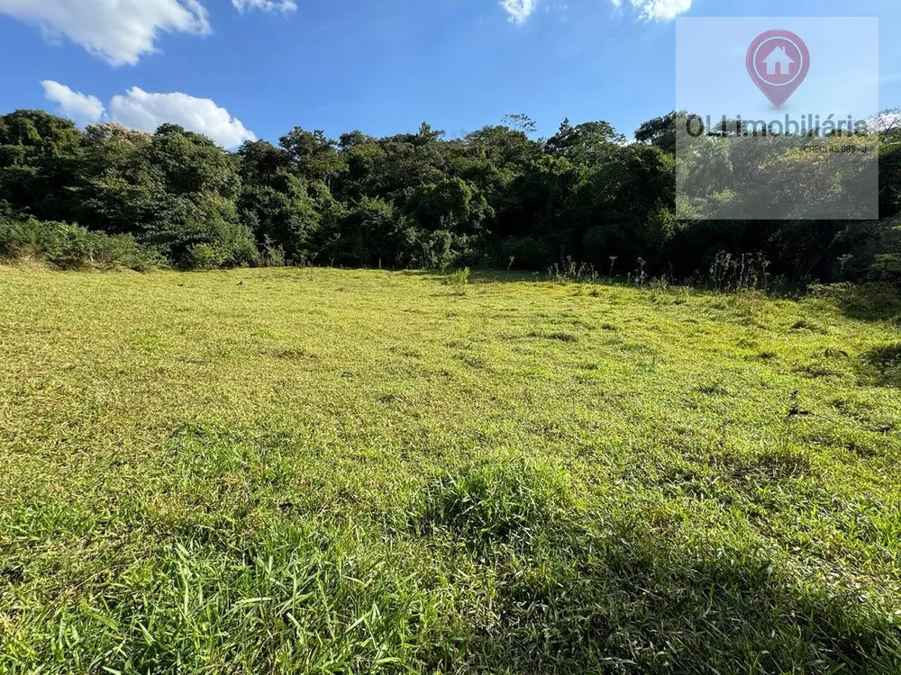 Fazenda à venda, 60000m² - Foto 4