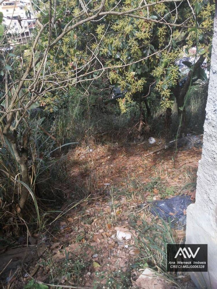 Terreno, 300 m² - Foto 3