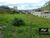 Terreno, 313 m² - Foto 4