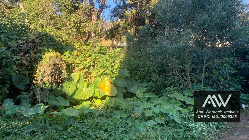 Casa, 3 quartos, 250 m² - Foto 36