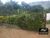 Chácara, 1 quarto, 2100 m² - Foto 2