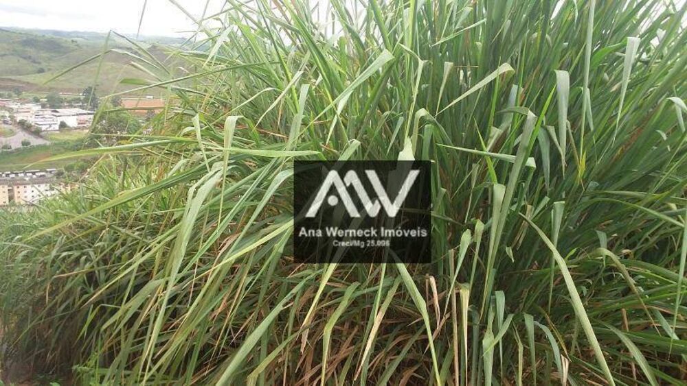 Loteamento e Condomínio, 300 m² - Foto 6