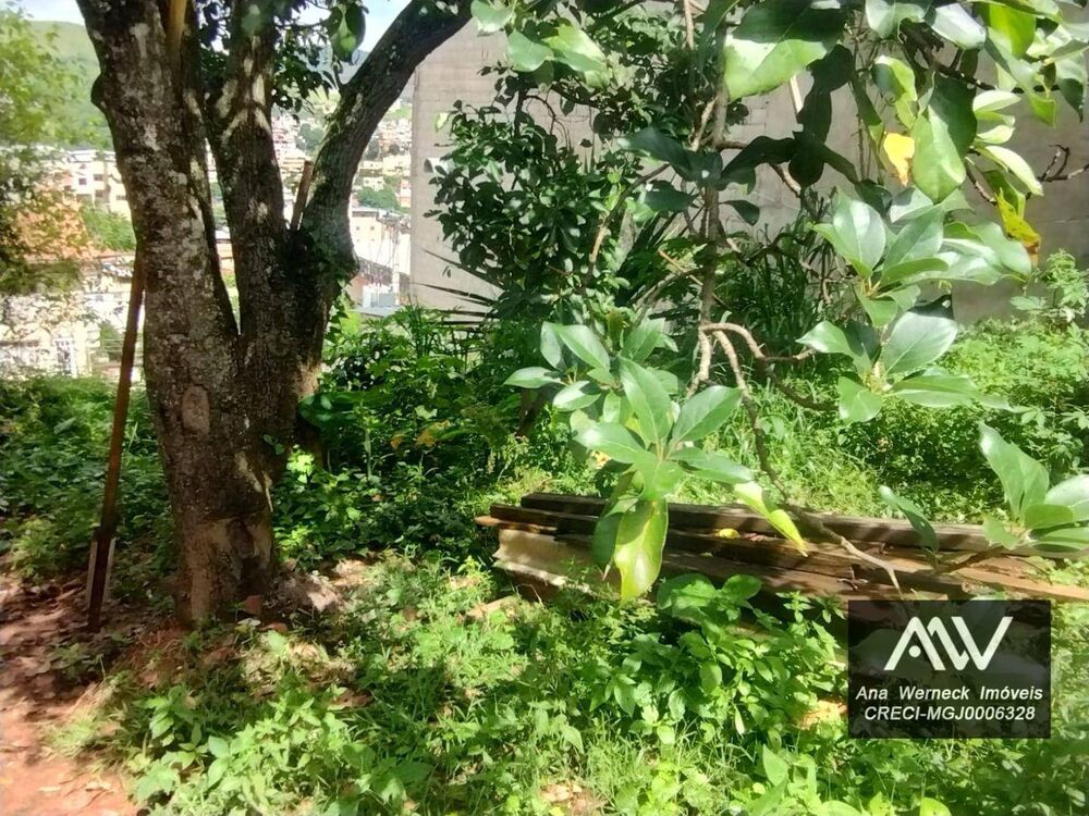 Terreno, 655 m² - Foto 6