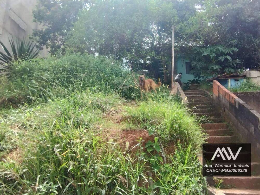 Terreno, 655 m² - Foto 4