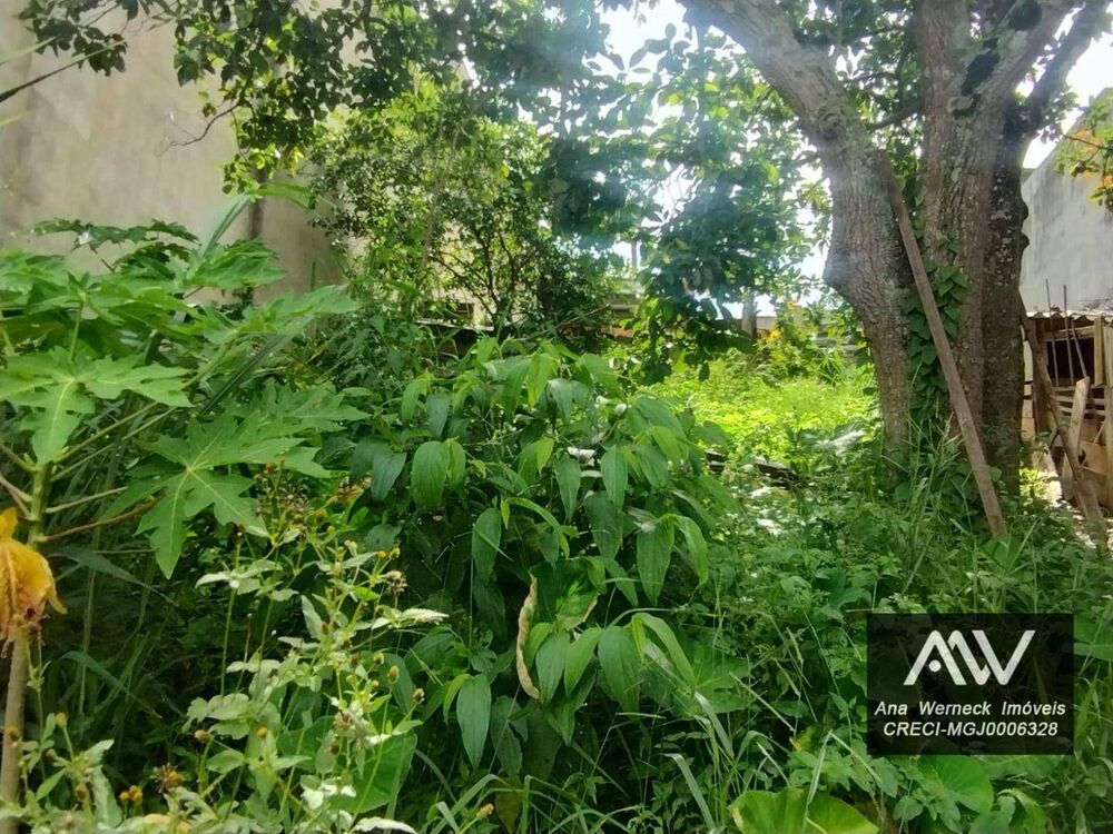 Terreno, 655 m² - Foto 7