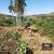 Terreno, 2918 m² - Foto 3