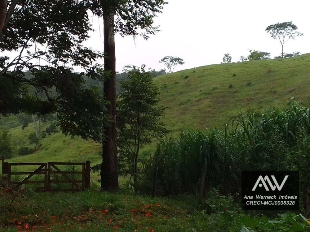 Sítio, 1 quarto, 15 hectares - Foto 4