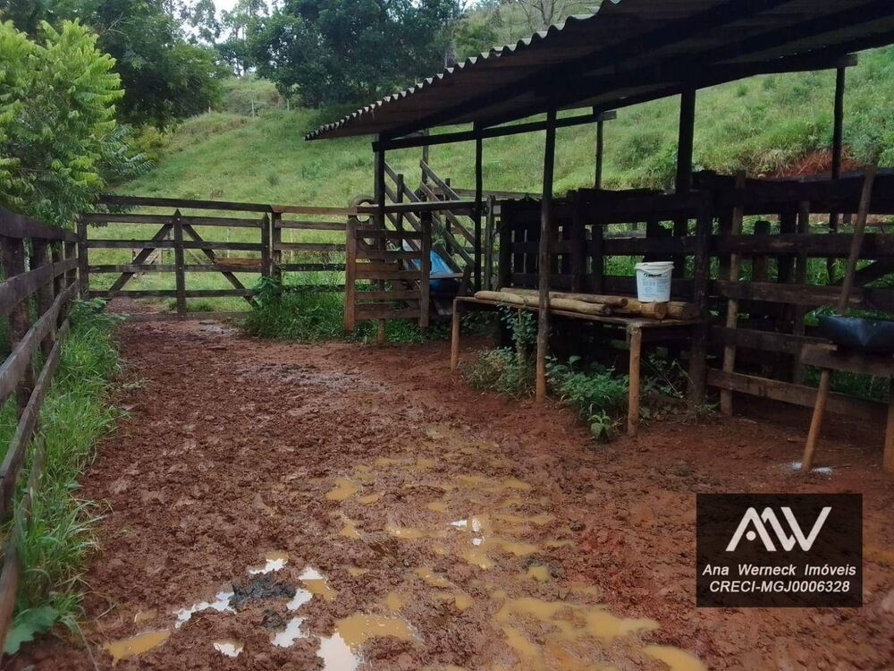 Sítio, 1 quarto, 15 hectares - Foto 3