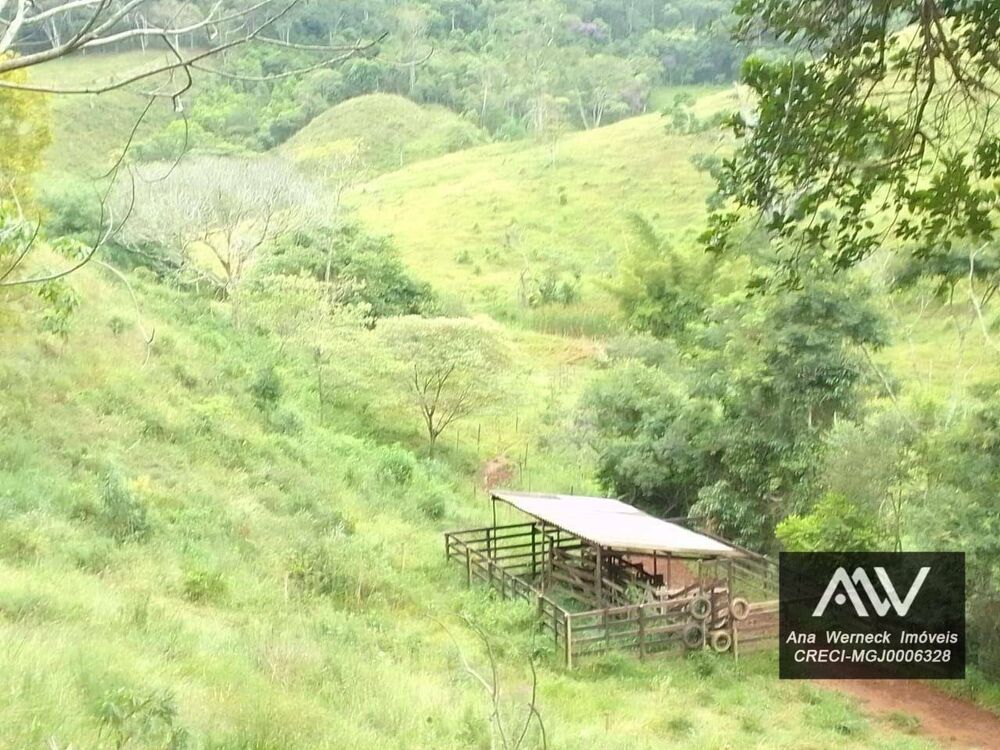 Sítio, 1 quarto, 15 hectares - Foto 5