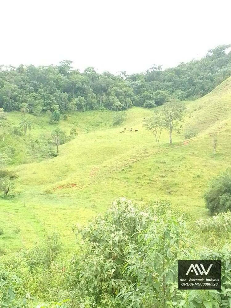Sítio, 1 quarto, 15 hectares - Foto 8
