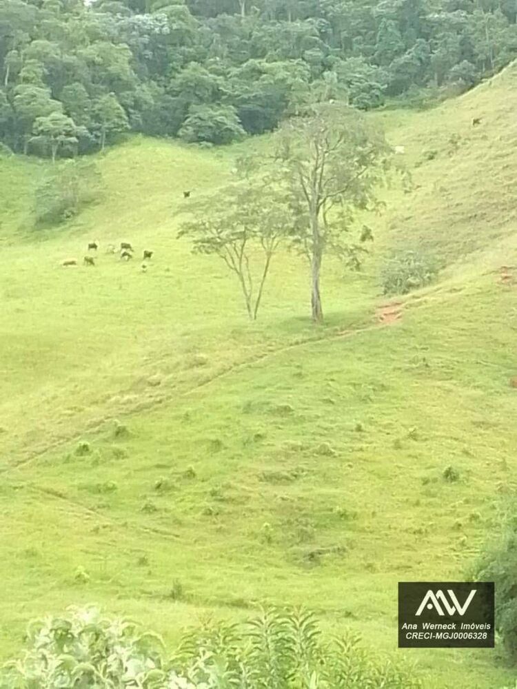 Sítio, 1 quarto, 15 hectares - Foto 7