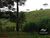 Sítio, 1 quarto, 15 hectares - Foto 4