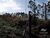 Terreno, 1000 m² - Foto 3