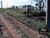 Terreno, 1000 m² - Foto 2