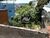 Terreno, 360 m² - Foto 4