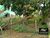 Terreno, 300 m² - Foto 1