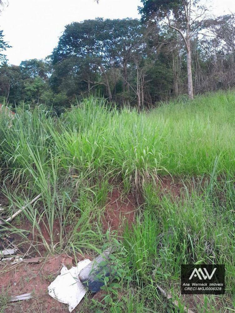 Terreno, 700 m² - Foto 5