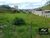 Terreno, 200 m² - Foto 5