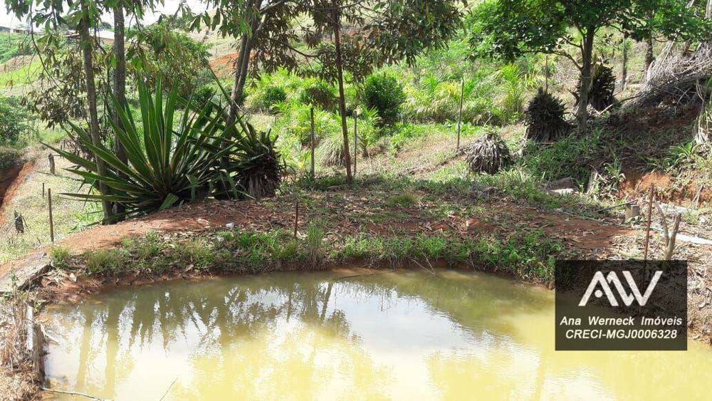 Chácara, 2 quartos, 3000 m² - Foto 3