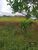 Terreno, 326 m² - Foto 2