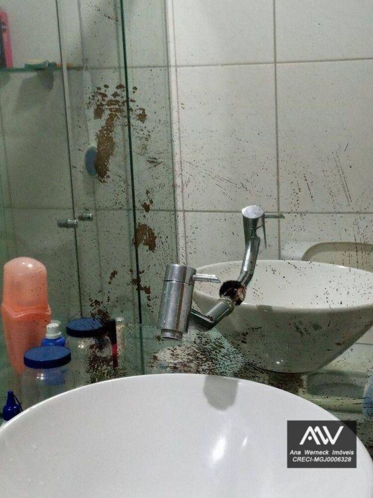 Casa, 3 quartos, 100 m² - Foto 5