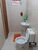 Sítio, 2 quartos, 2000 m² - Foto 4