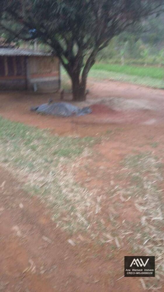 Sítio, 1 quarto, 2000 m² - Foto 3