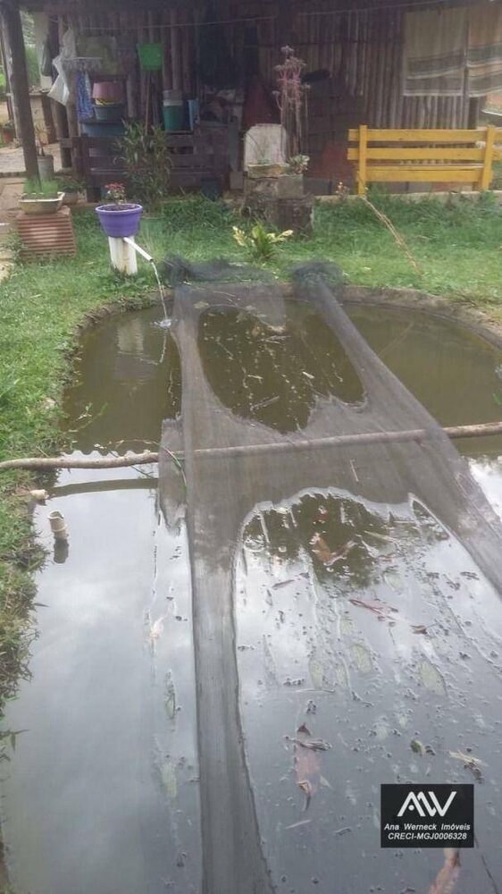 Sítio, 1 quarto, 2000 m² - Foto 5