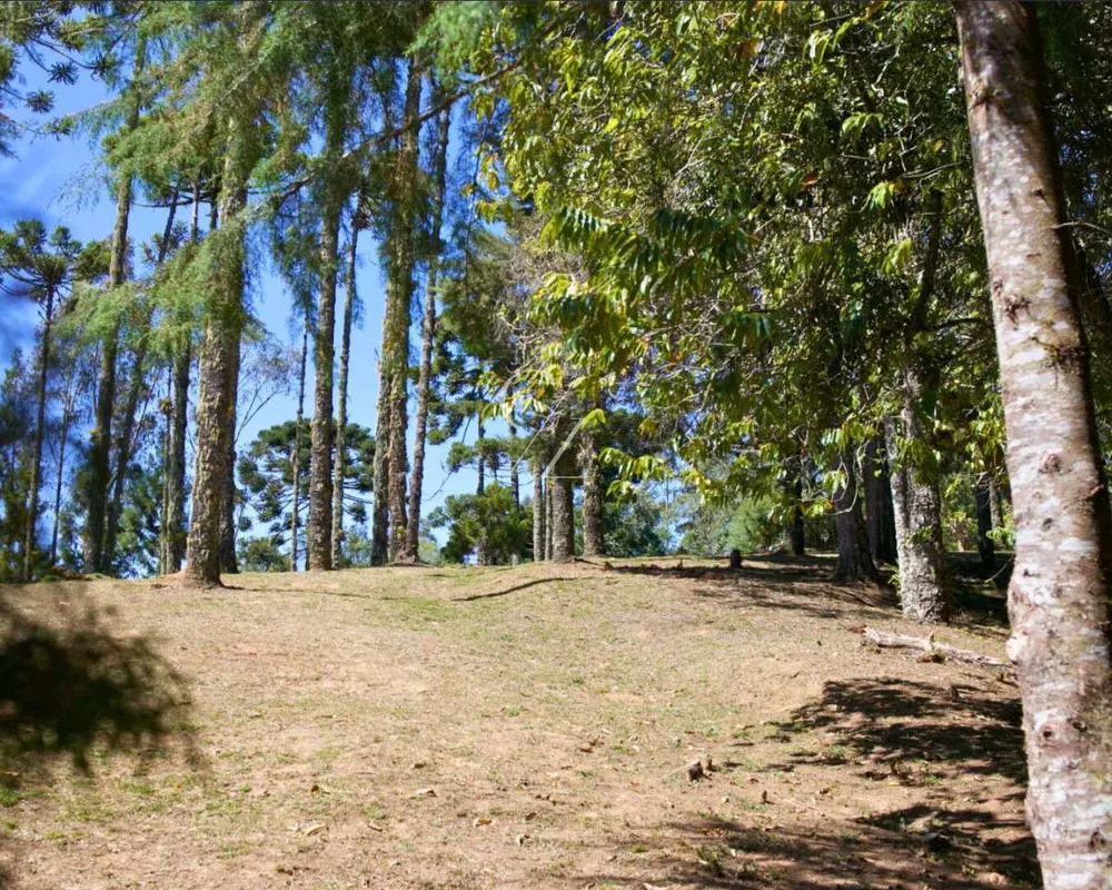 Sítio, 7 quartos, 376 m² - Foto 8