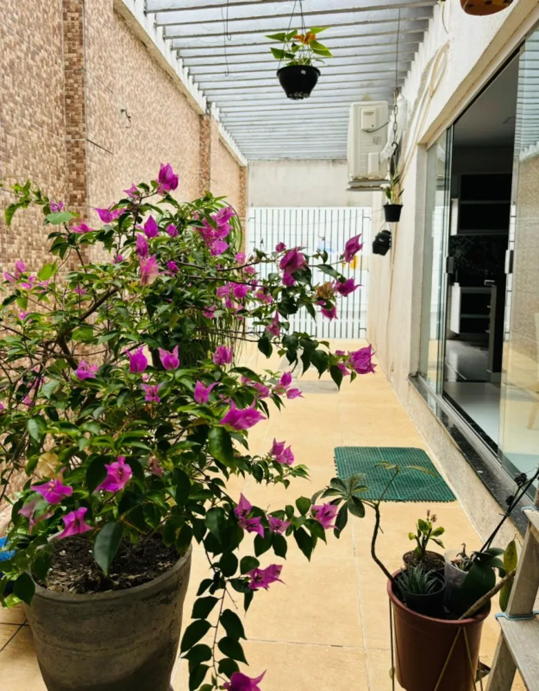 Casa, 3 quartos, 250 m² - Foto 6