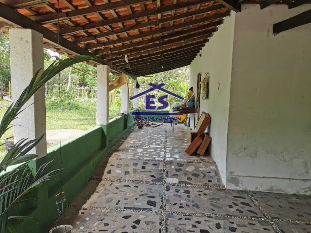 Sítio, 3 quartos, 250 m² - Foto 8