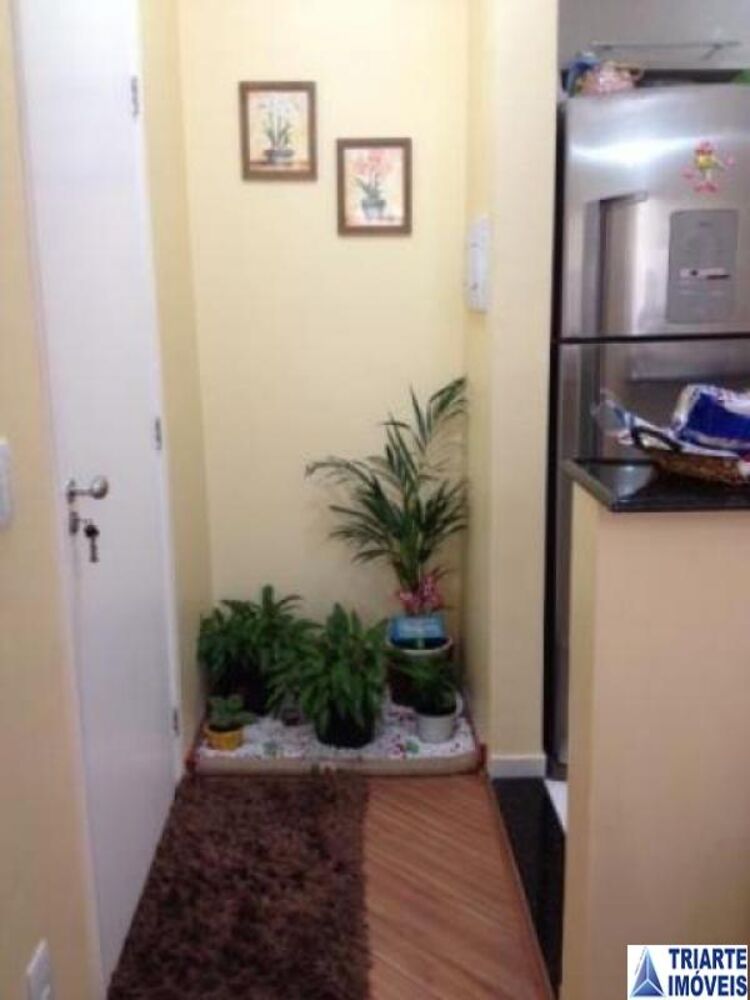 Apartamento, 3 quartos, 65 m² - Foto 1