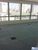 Sala-Conjunto, 36 m² - Foto 1