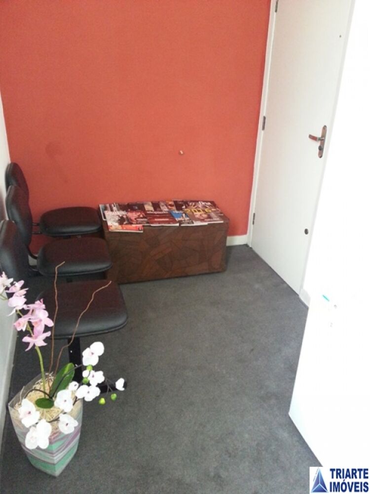 Sala-Conjunto, 30 m² - Foto 3