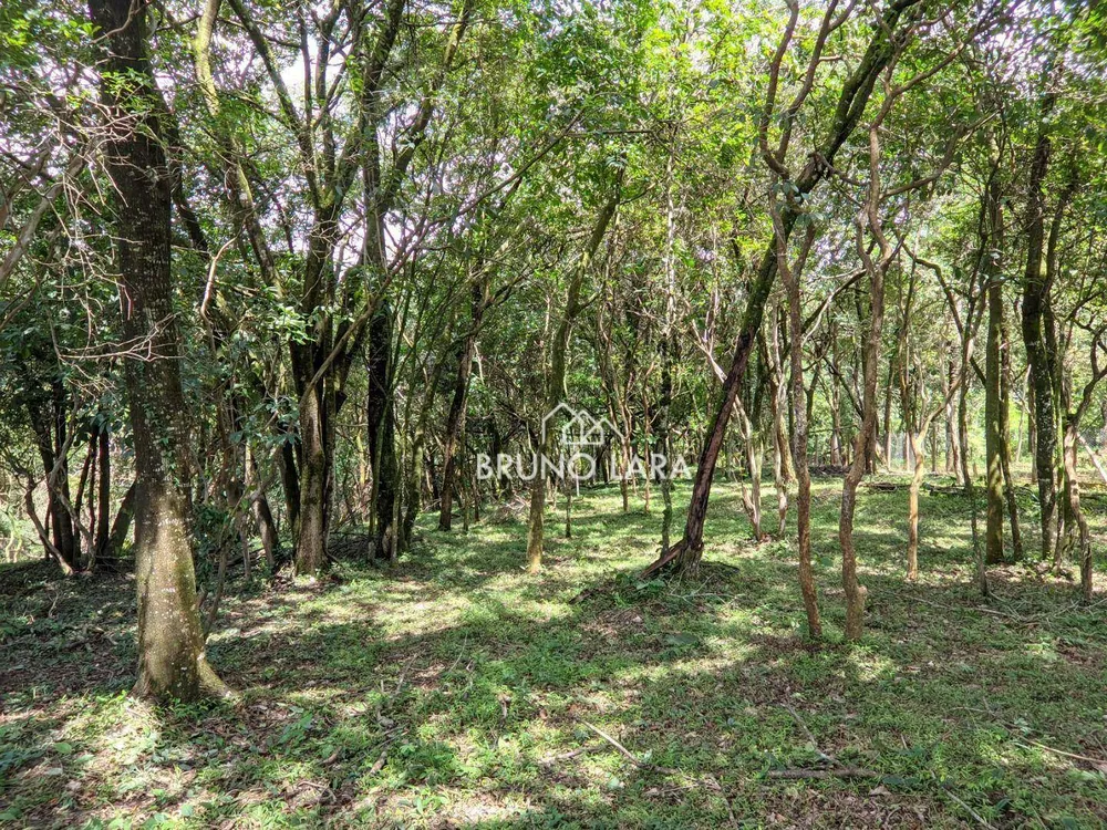 Loteamento e Condomínio, 2000 m² - Foto 8
