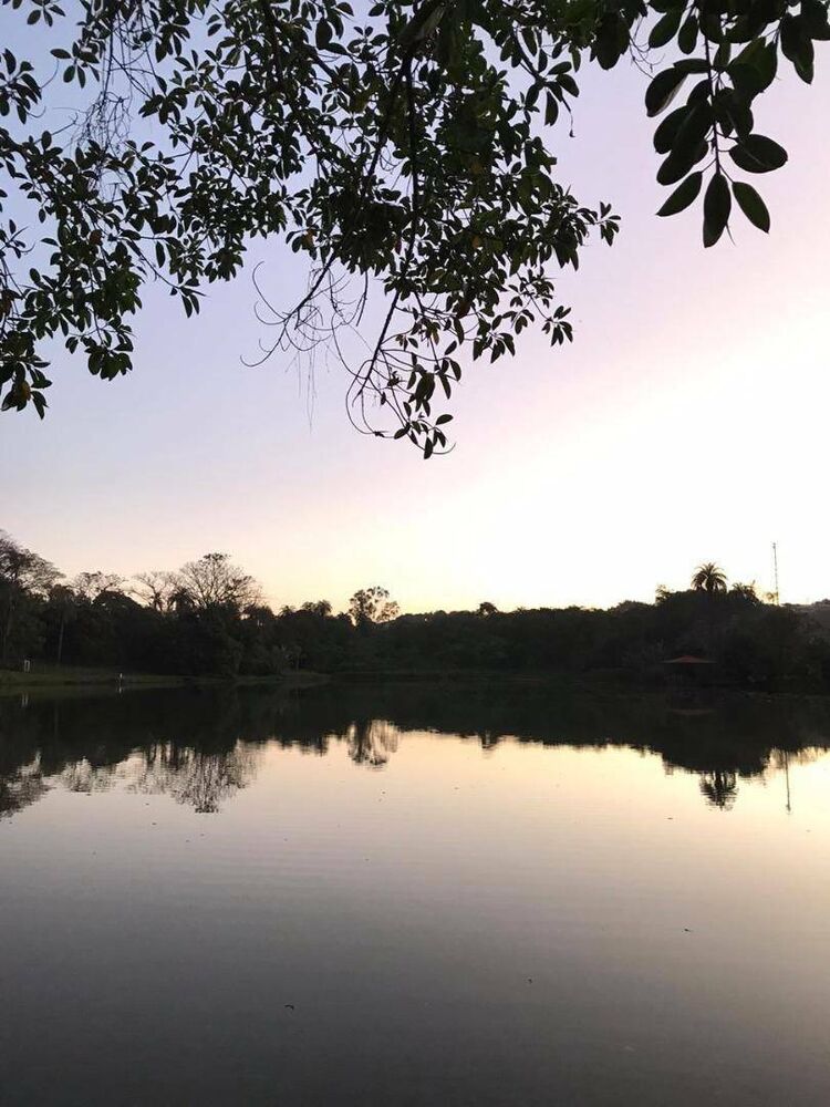 Casa de Condomínio à venda e aluguel com 4 quartos, 350m² - Foto 29