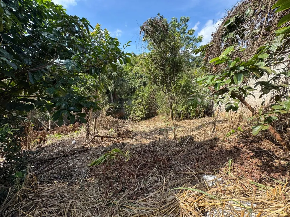 Terreno, 360 m² - Foto 3