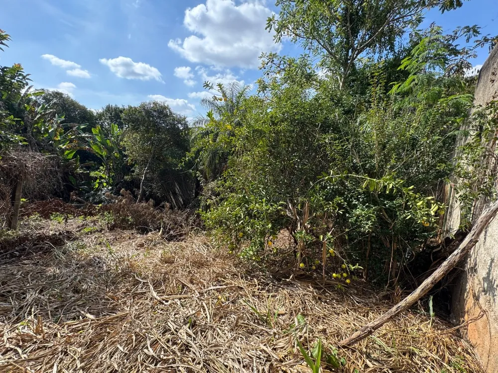 Terreno, 360 m² - Foto 6