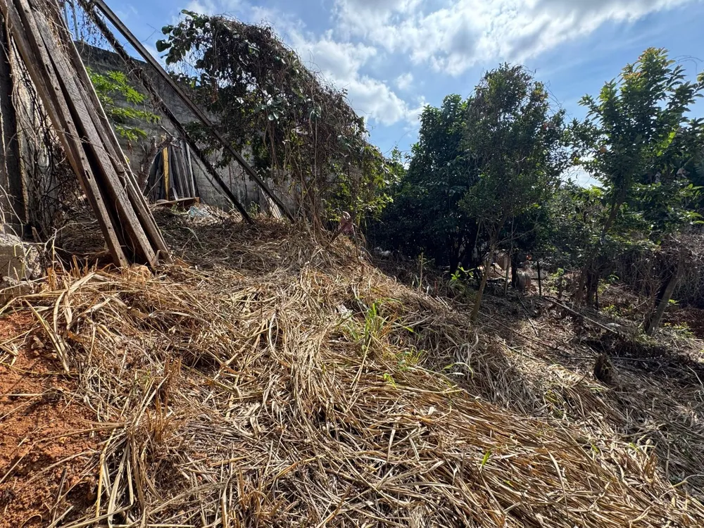 Terreno, 360 m² - Foto 5