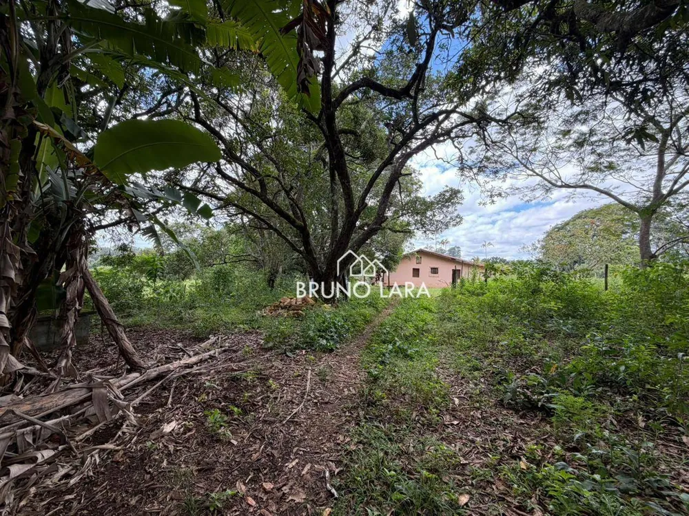 Terreno, 16 hectares - Foto 6