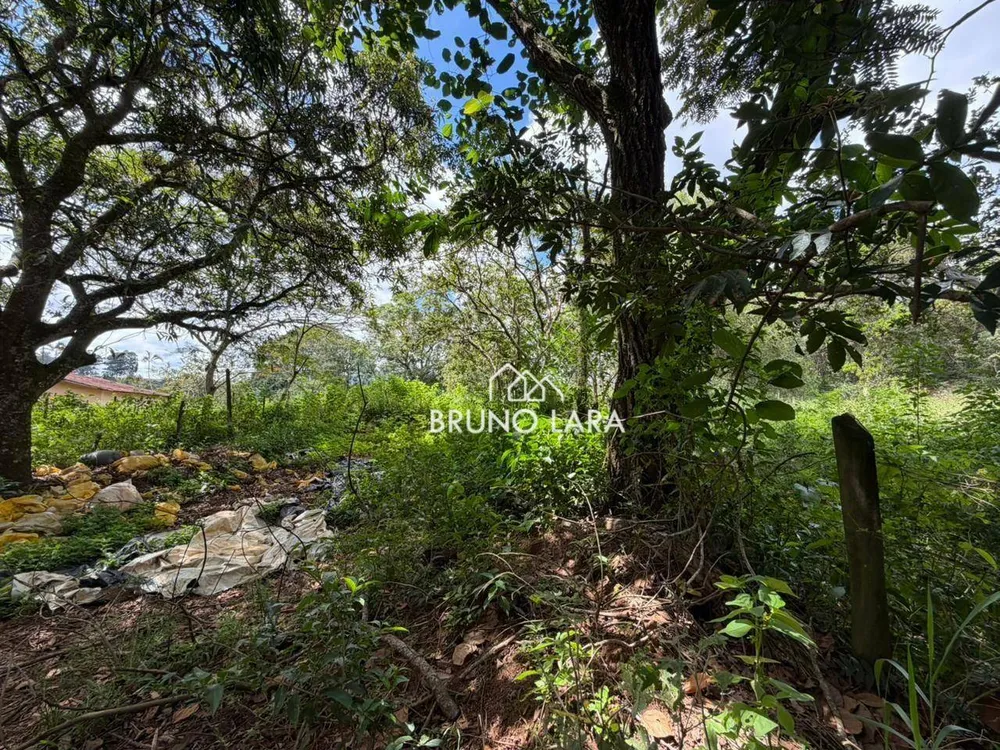 Terreno, 16 hectares - Foto 12