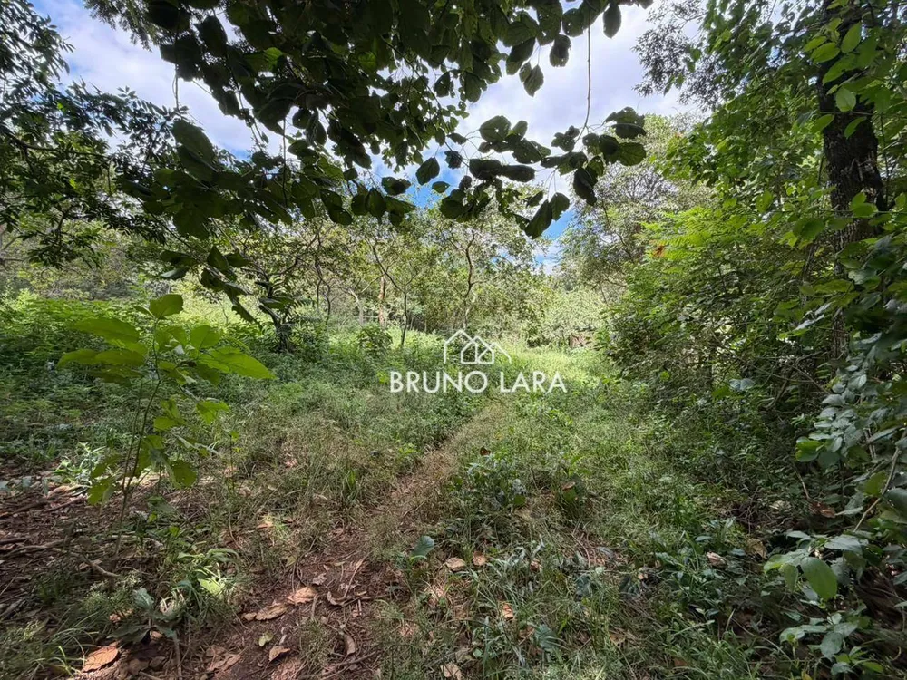 Terreno, 16 hectares - Foto 11