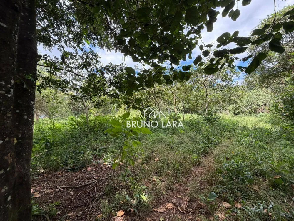 Terreno, 16 hectares - Foto 10