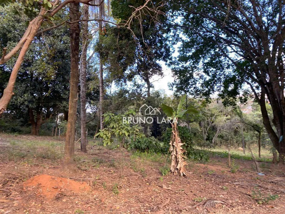 Terreno, 12 hectares - Foto 10