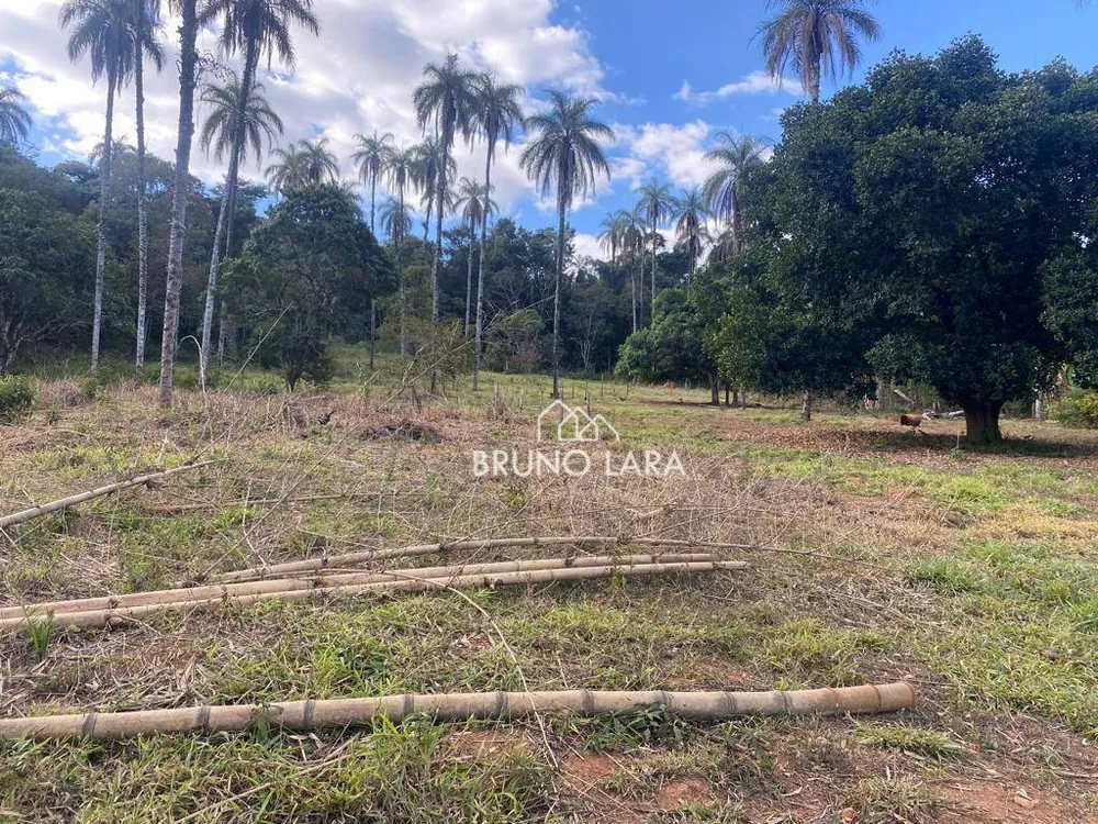 Terreno, 12 hectares - Foto 8